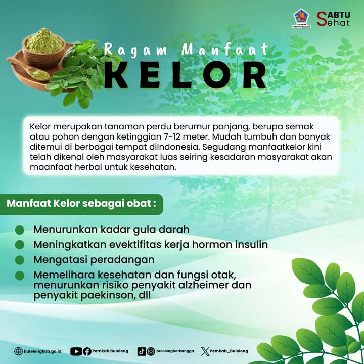 Ragam Manfaat Kelor