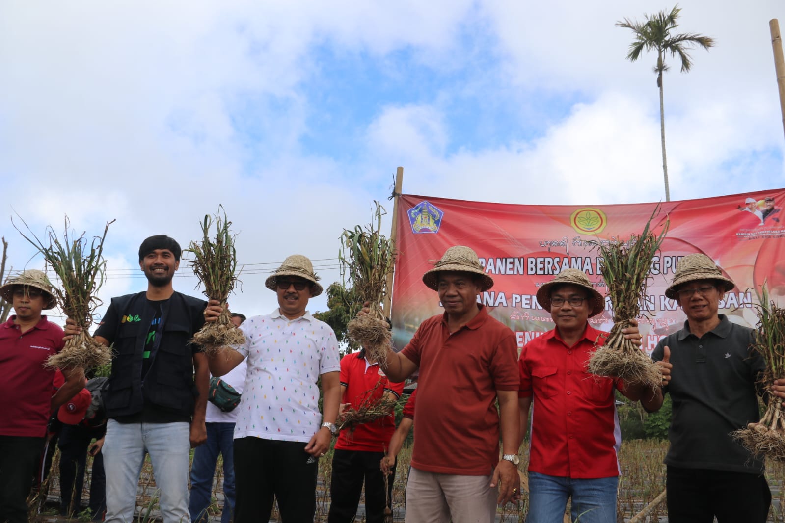 Bukti Nyata Pengendalian Inflasi, TPID Buleleng Gelar Panen Bawang Putih Bersama