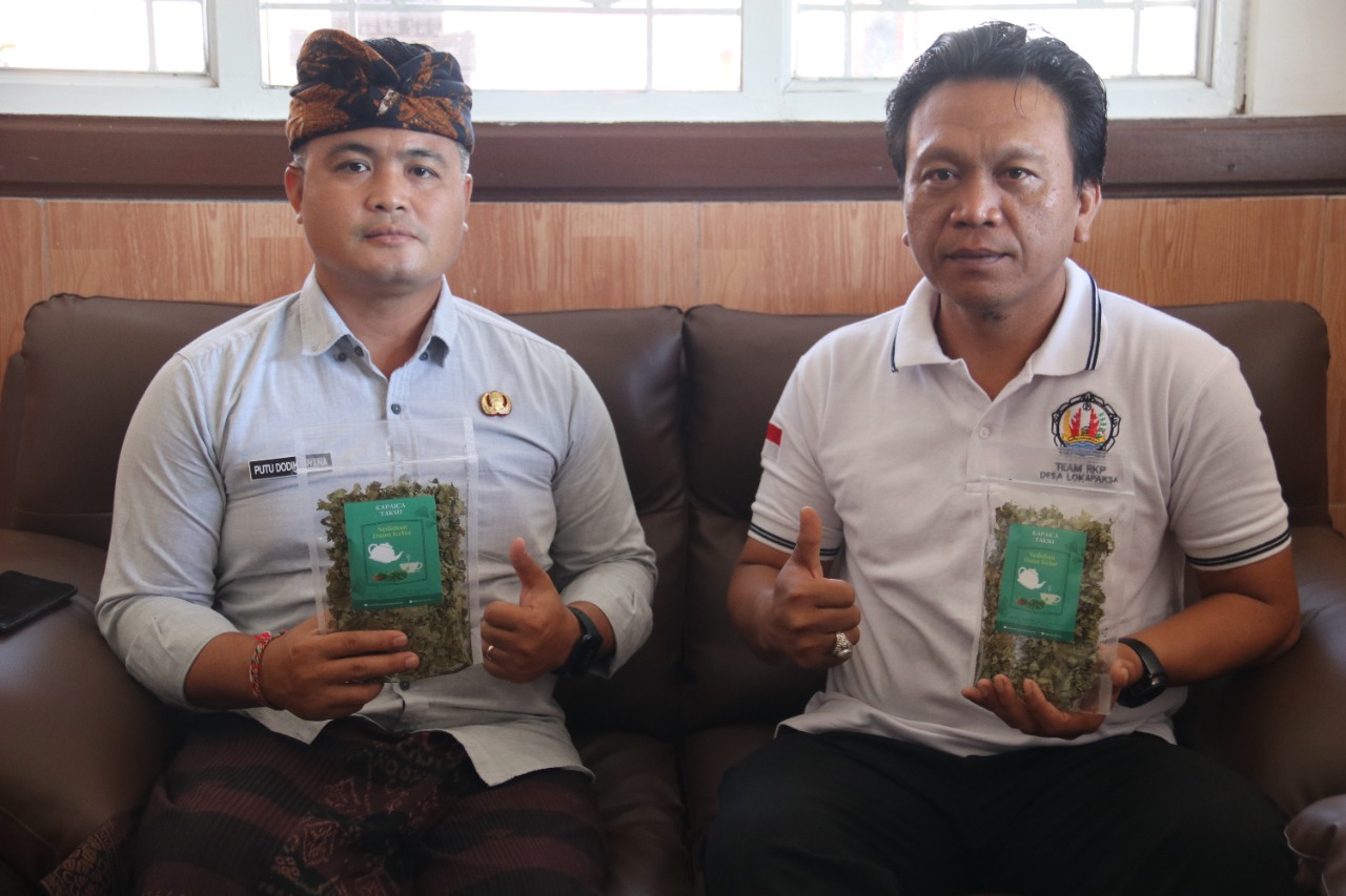 Kembangkan Komoditi Kelor Unggulan, Daunnya Jadi Teh dan Tepung Serta Buahnya 1 Meteran