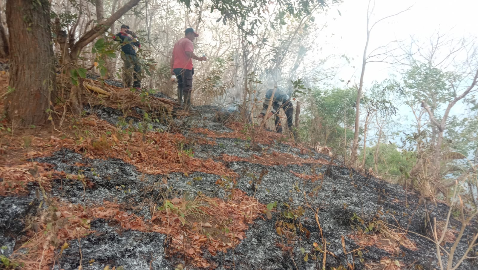 Kolaborasi Atasi Kebakaran Hutan Tejakula