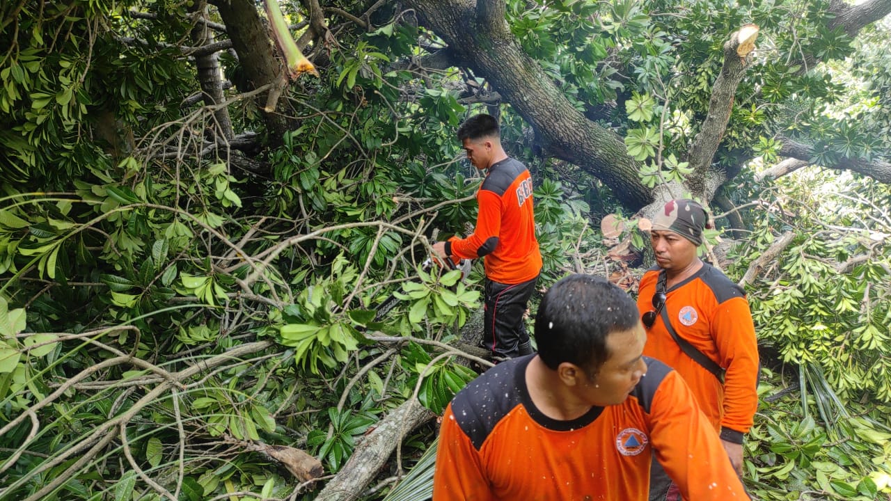 Musim Hujan Tiba, BPBD Buleleng Bersiap Antisipasi Bencana