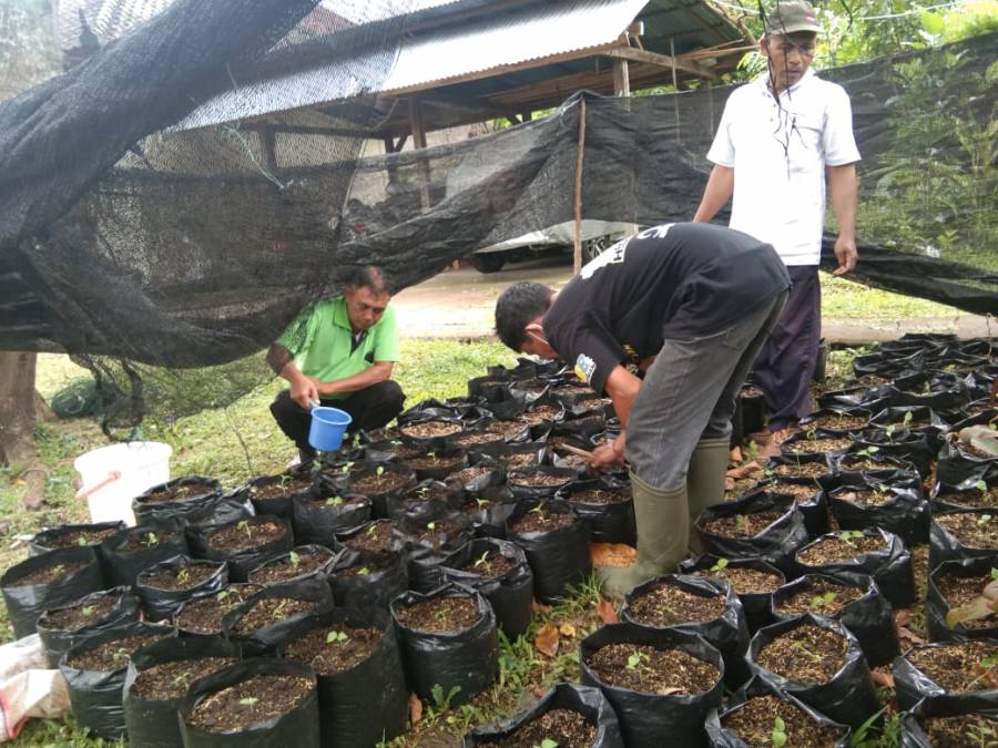 Perangi Inflasi, Distan Buleleng Targetkan 10 Are Kebun Cabai Baru Per Desa