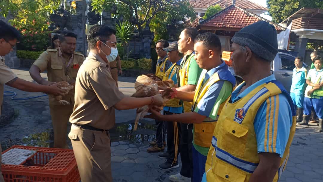 Program Ayam Plastik, DPUTR Kabupaten Buleleng Bagikan 135 ekor Ayam Jelang Hari Raya Galungan