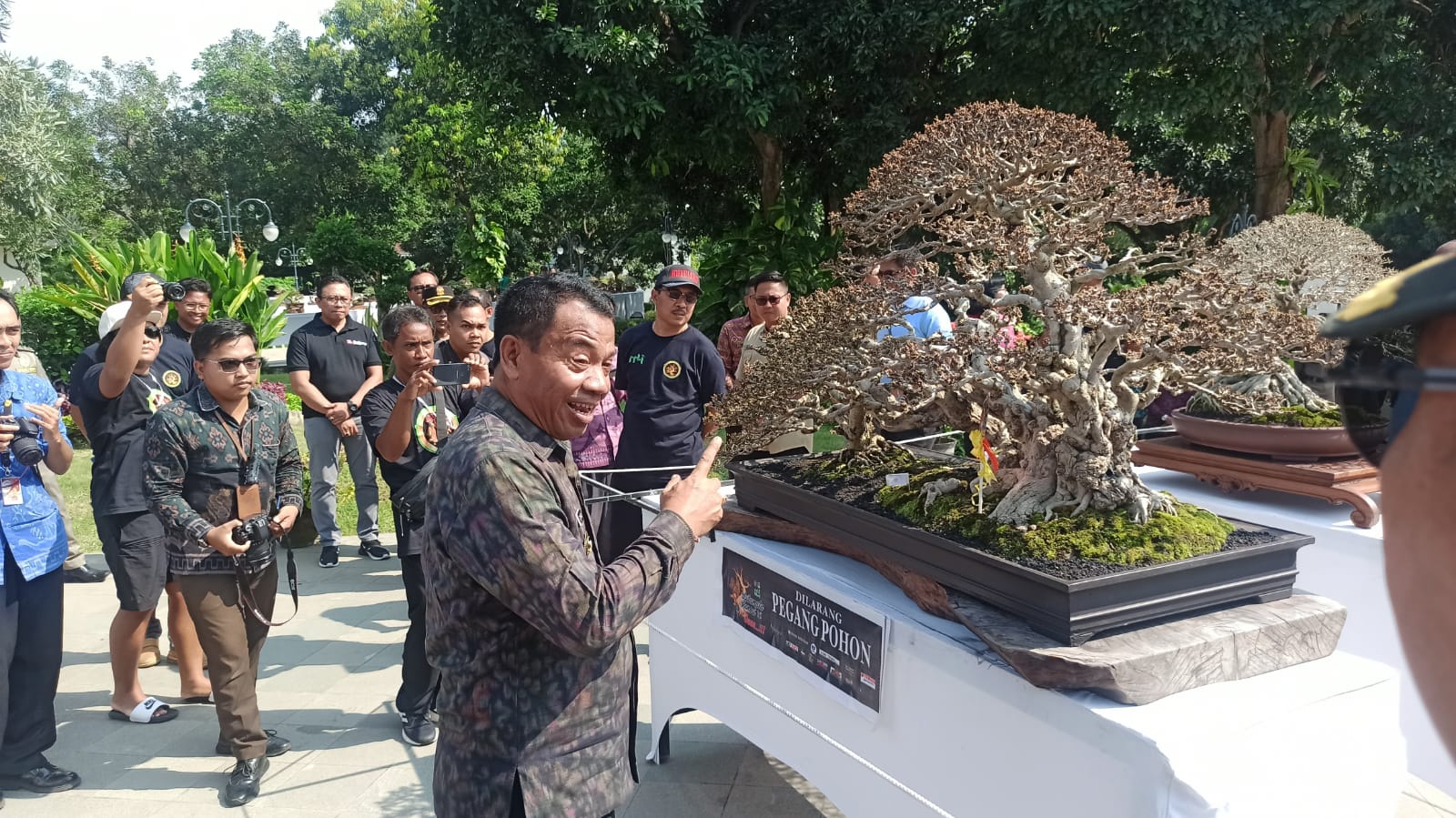 Ratusan Bonsai Dipamerkan Hiasi HUT Kota Singaraja