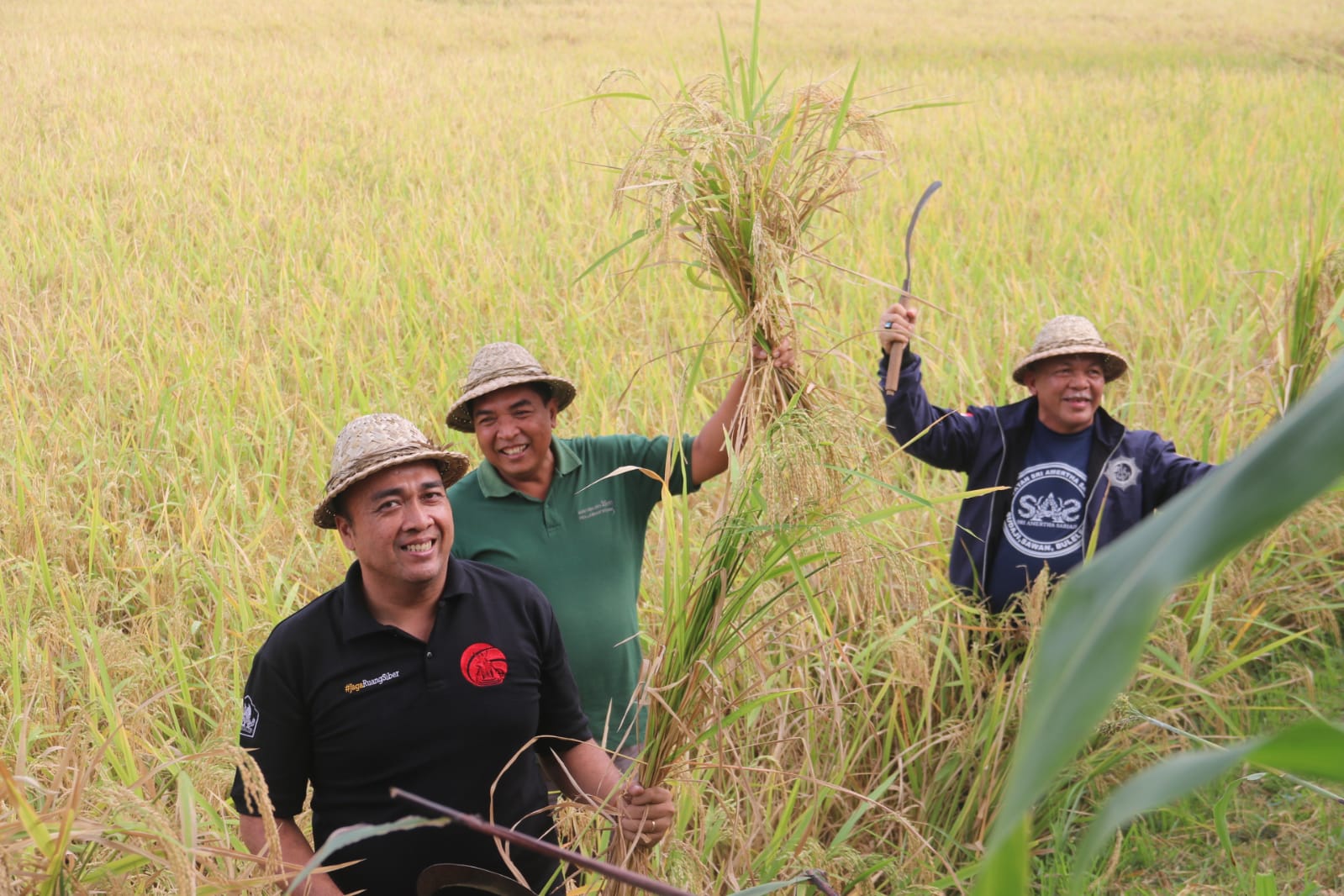 Subak Getih Desa Sudaji Jadi Pionir Pertanian Padi Sehat Menuju Organik