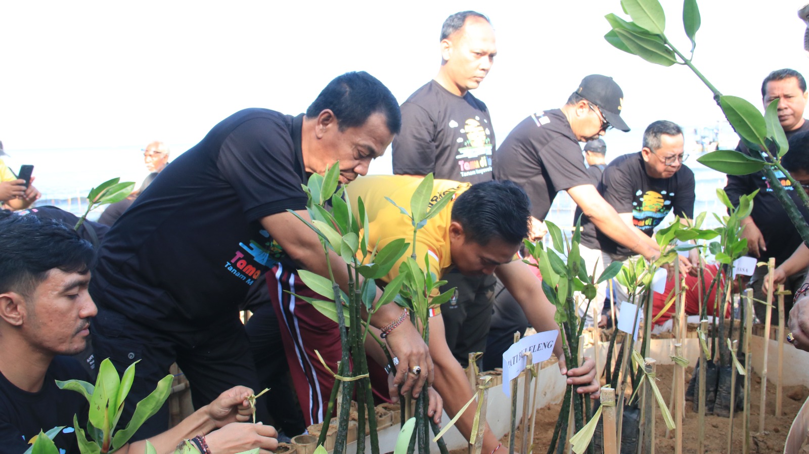 Tanam Seribu Mangrove di Pidada, Pj. Lihadnyana Minta Seluruh Masyarakat Ikut Menjaga