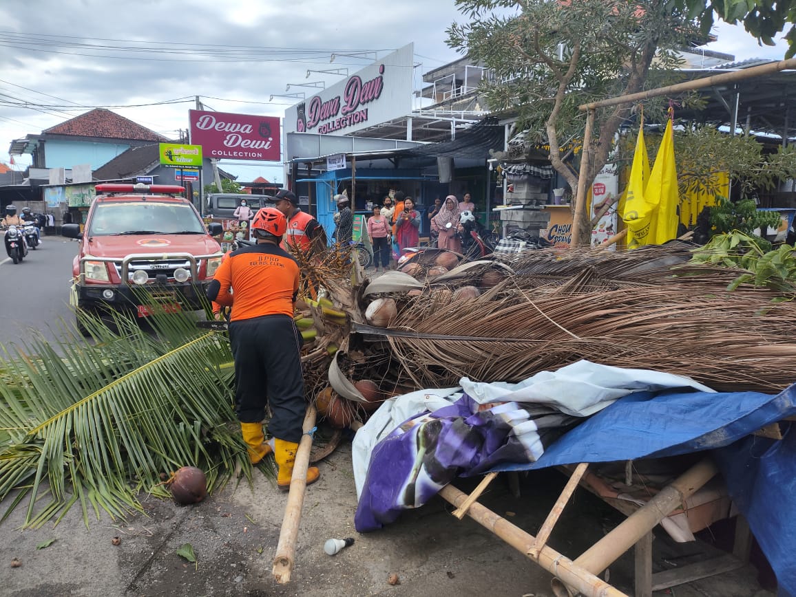 Tim Reaksi Cepat Tanggapi Pohon Tumbang di Buleleng dalam Waktu Singkat