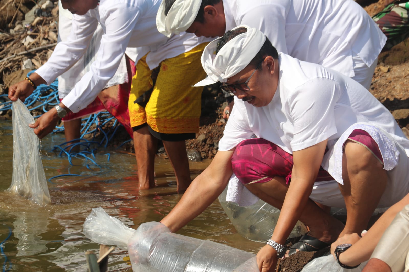 Tumpek Uye, Pemkab Buleleng Tebar Ribuan Benih Ikan di Bendungan Danu Kerthi